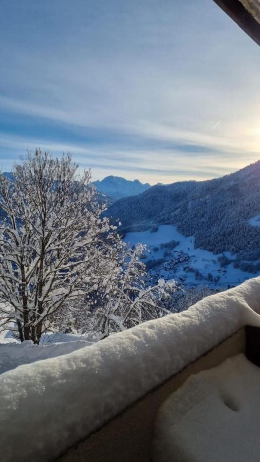 Terrasses Du Morel - A17 - Appart 5 Pers Doucy Buitenkant foto